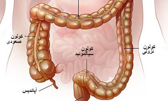 کمربند استومی B.BRAUN بی براون 5028
