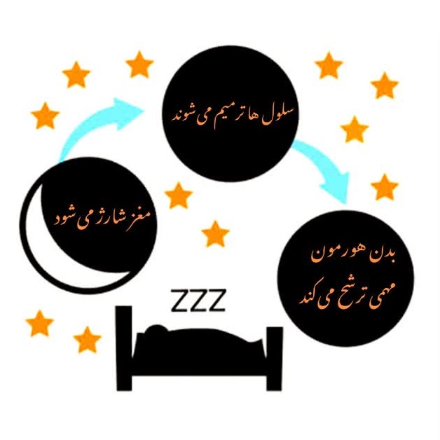 خواب